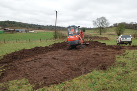 Bee bank at Dropping Well Farm