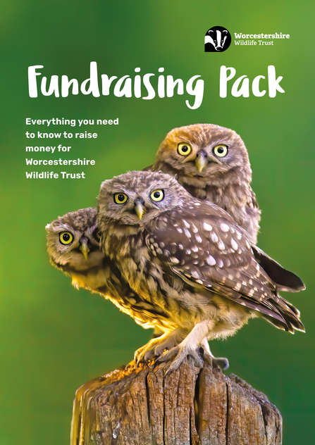 Front cover of fundraising pack with a photo of three little owls looking at the camera