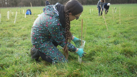 Individual planting a tree at Green Farm