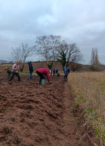 Field walking training at Dropping Well Farm