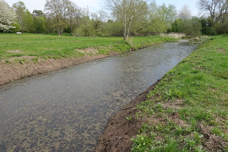 Long pond restoration at Martley Millennium Green