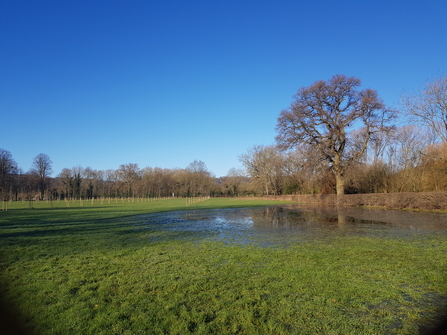 Floodwater being held on a grassy field