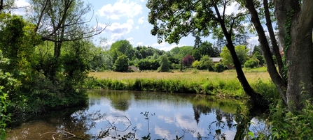 View of the pond at Martley Millennium Green