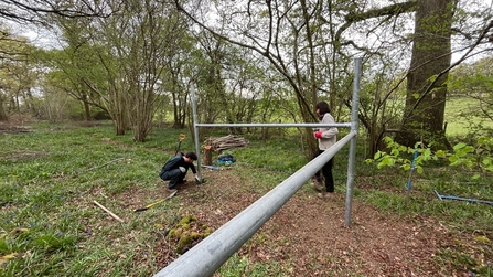 2 people using metal poles as strainer posts for a fence in a woodland