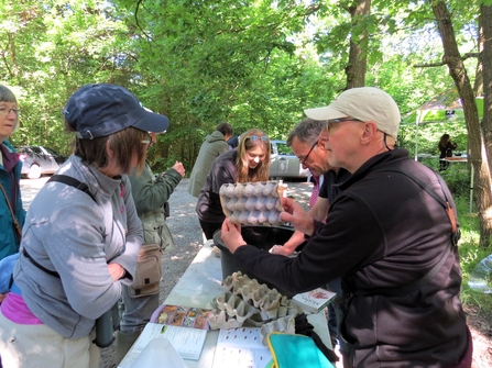 A group of people looking at egg cartons that have moths hiding inside, they're in a woodland and it's a sunny day