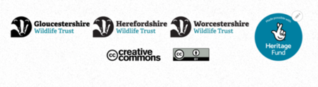 Logos for Gloucestershire, Herefordshire and Worcestershire Wildlife Trusts, logo for the National Lottery Heritage Fund, logos for Creative Commons