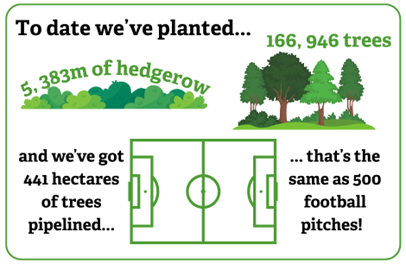 Illustrations of trees and a football pitch - we've planted 5,383m of hedgerow, 166,946 trees and have 441hectares of trees pipelined - the equivalent of 500 football pitches