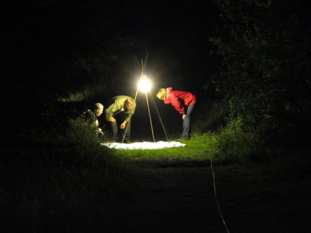 three people looking at what's landing on a white sheet - the sheet is on the ground and there's a bright light shining above them