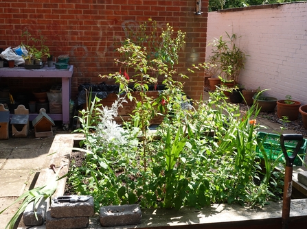 A raised bed with lots of plants in it. It appears to be in the middle of a courtyard with a bench and bird boxes against the wall in the background