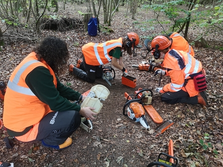 Four people in high-vis and protective clothing, two with helmets on, are taking apart chainsaws whilst sat on the floor of a woodland