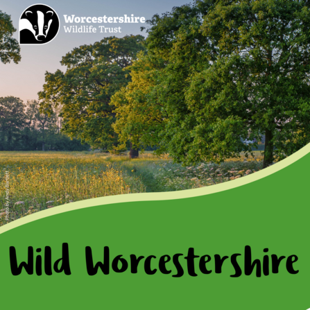 The top of the image shows a path winding through a field under some trees. The bottom has a block of green colour and the words 'Wild Worcestershire'