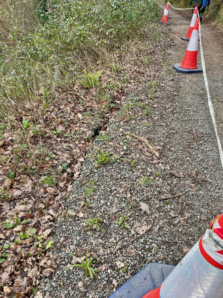 A large crack runs up the left side of the photo and is roped off to the right by traffic cones and taping.