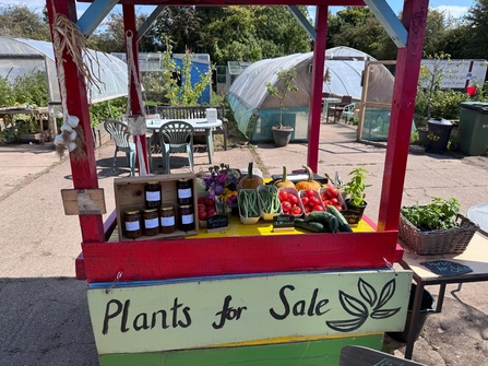 'Plants for sale' stand with fresh veg and jars of jam or chutney on it. It's a sunny day and in the background are some polythene tunnels with trees behind those.