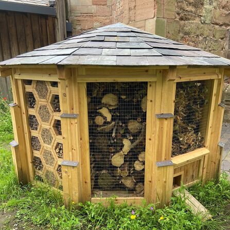 A bug hotel - we can see three sides of it - there are rotting logs, canes for bees and even a hole and ramp for a hedgehog