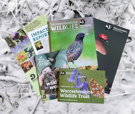 Magazine membership pack - magazine, welcome booklet, impact report, folder, booklet