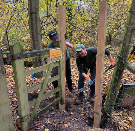 Two people installing gate posts in a woodland - one is holding a post steady and the other is backfilling the hole whilst pausing to smile at the camera