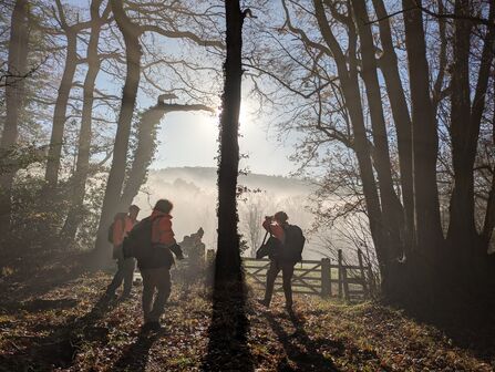 A group of people are backlit in a misty woodland