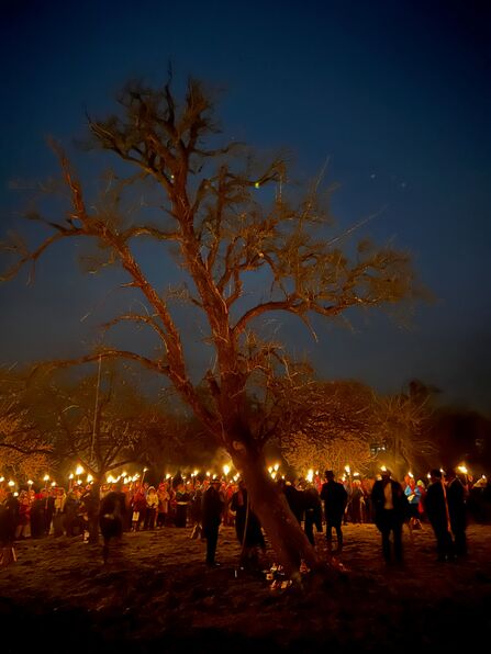 A tree in the foreground with a crowd behind holding candles/torches - it's nighttime