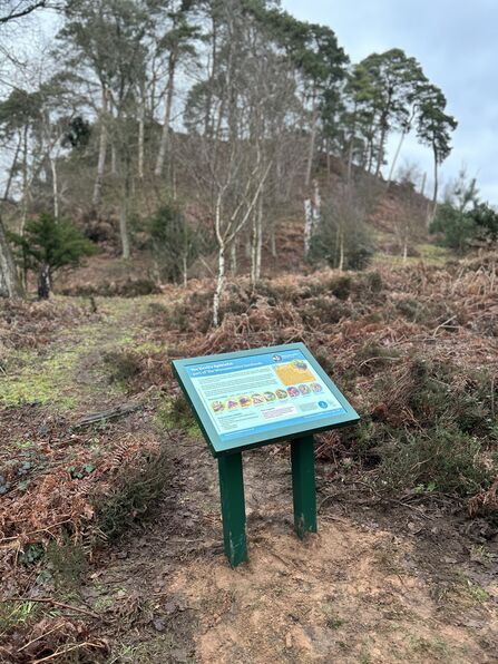 A photo of a lectern interpretation sign in a heathland area with a hill with trees on in the background