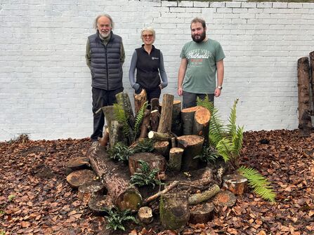 Three people standing behind a pile of upright tree stumps and ferns and a white wall behind