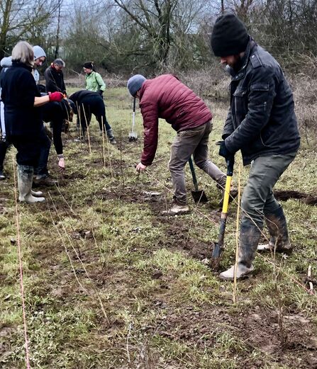 A photo of a group of people planting hedges on a floodplain. They are dressed in warm clothes, it is winter and there are bare trees in the background.