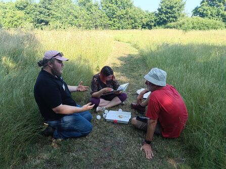 A photo of three people sitting on the grass in a path mown through the middle of a meadow. They are hunting for bugs and looking at paperwork.