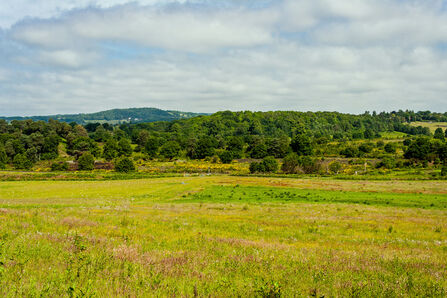 A green field in the foreground with heathland and woodland in the background; it's a bright summers day with lots of clouds in the sky
