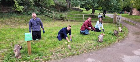 Four volunteers planting bulbs along the edge of grass - they're all pausing to smile at the camera