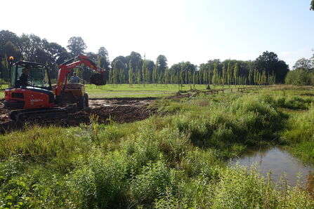 A digger creating a wetland habitat on a sunny day
