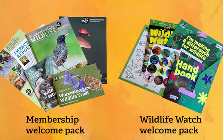Welcome pack contents for membership and for Wildlife Watch/family membership - showing magazines, reports for membership and stickers, handbook for children/families