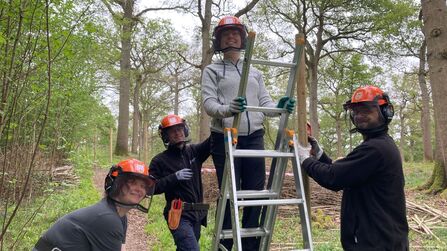 A photo of four trainees in a woodland - one of them, Meg, is standing on a ladder and the others are holding the ladder standing below her
