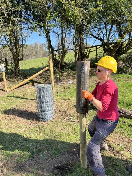 A photo of Mary, a volunteer wearing a yellow hard hat and using a post basher to hammer a post into the ground