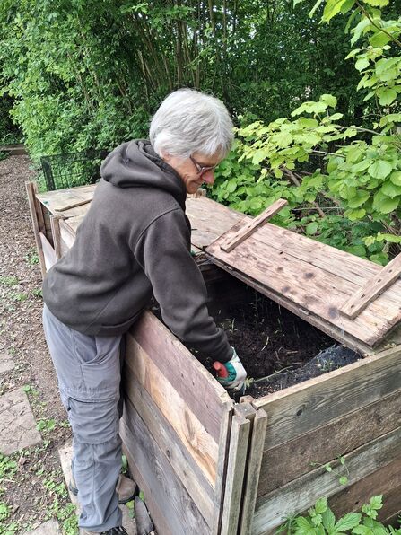 A photo of volunteer Mary with her hand inside a large wooden compost bin in the garden at Lower Smite Farm