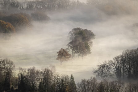 A misty scene with trees poking out from the mist on a cold autumn/winter morning