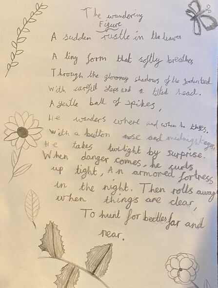 Poem written by 10yr old Yethuli 