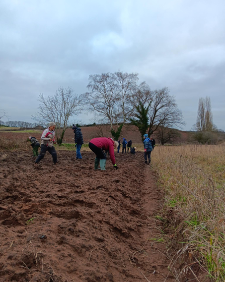 Volunteers looking at soil in a freshly turned, muddy field - bending and digging in winter coats beneath bare trees under a grey overcast sky.