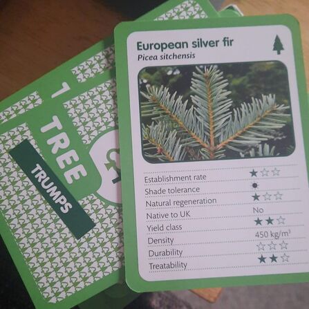 A photo of playing cards with the text 'Tree Trumps' written on top, with one turned over showing a European silver fir with different ratings 
