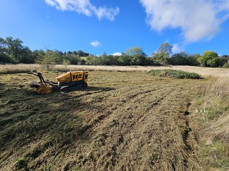 A photo of a meadow that has just been cut by a roboflail with the machine on the ground and blue sky and trees in the background
