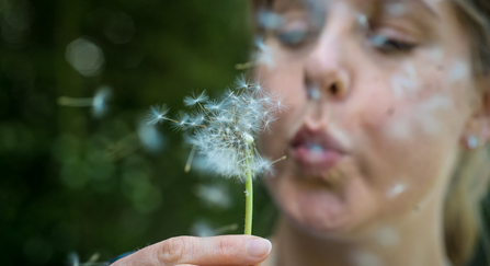 Woman blowing a dandelion clock by Matthew Roberts