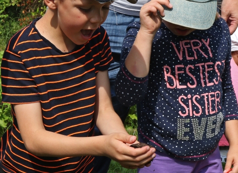 Children finding worm