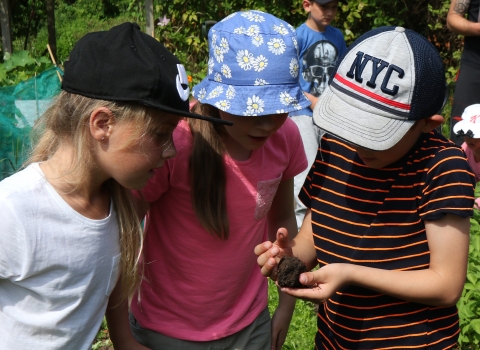 Schoolchildren looking at a worm