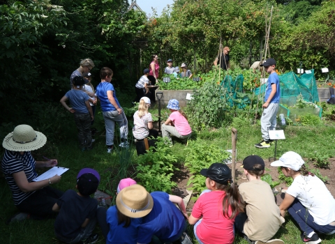 Schoolchildren learning about food