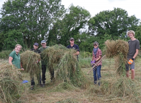 Hay strewing at Lower Smite Farm