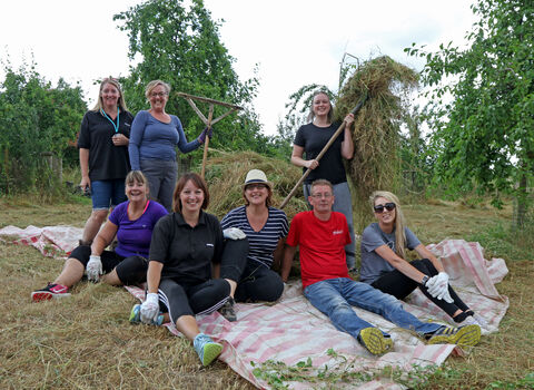 Siemens team volunteering at Lower Smite Farm