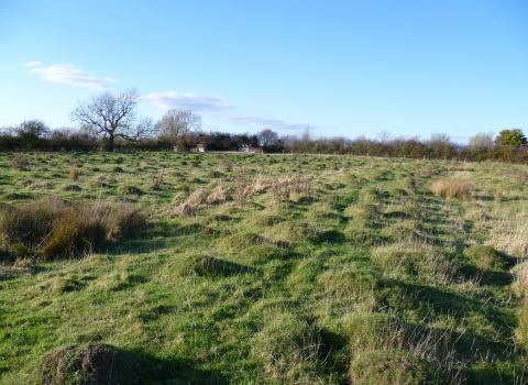 Humpy Meadow by James Hitchcock