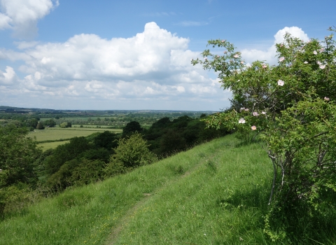 Windmill Hill by Wendy Carter