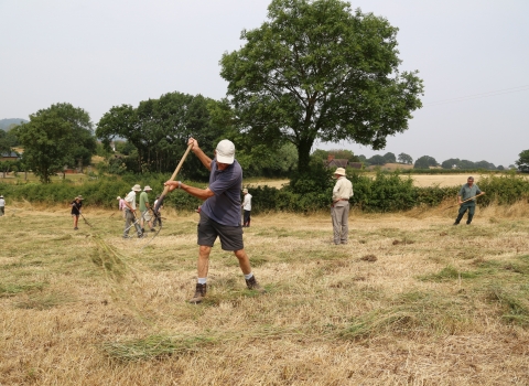 Hay spreading at Hollybed Farm Meadows by Chris Ellory