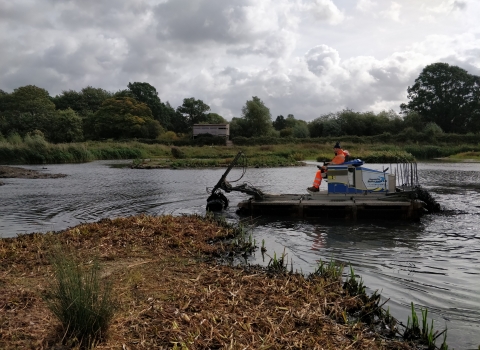 Upton Warren island restoration by Eleanor Reast