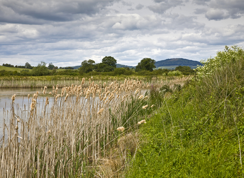 Hill Court Farm by Paul Lane