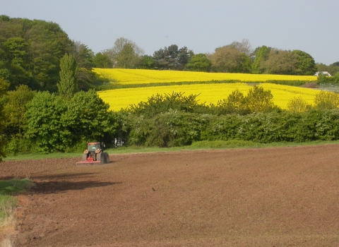 Farming by Debs Bull